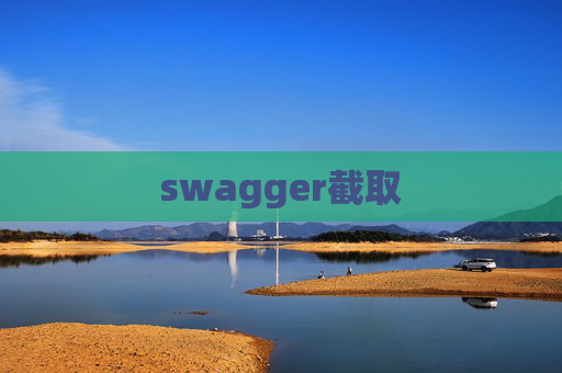 swagger截取